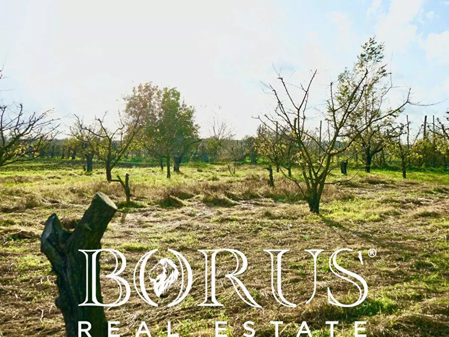 Immagine 11 di Terreno agricolo in vendita  a Teverola