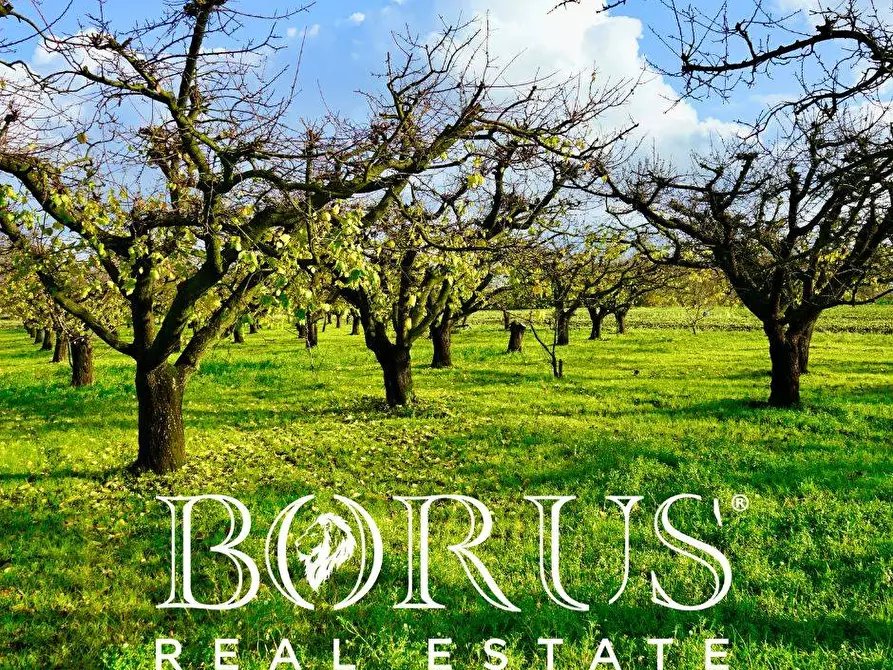 Immagine 13 di Terreno agricolo in vendita  a Teverola