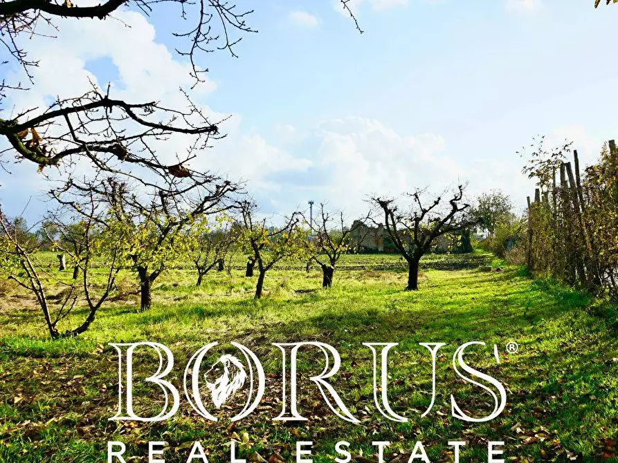 Immagine 14 di Terreno agricolo in vendita  a Teverola