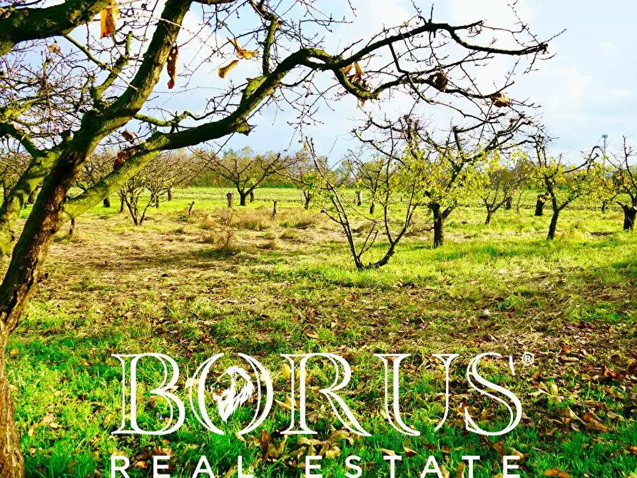 Immagine 15 di Terreno agricolo in vendita  a Teverola