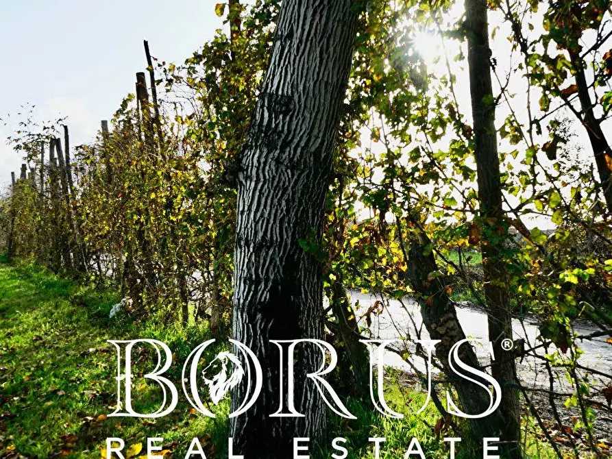 Immagine 16 di Terreno agricolo in vendita  a Teverola