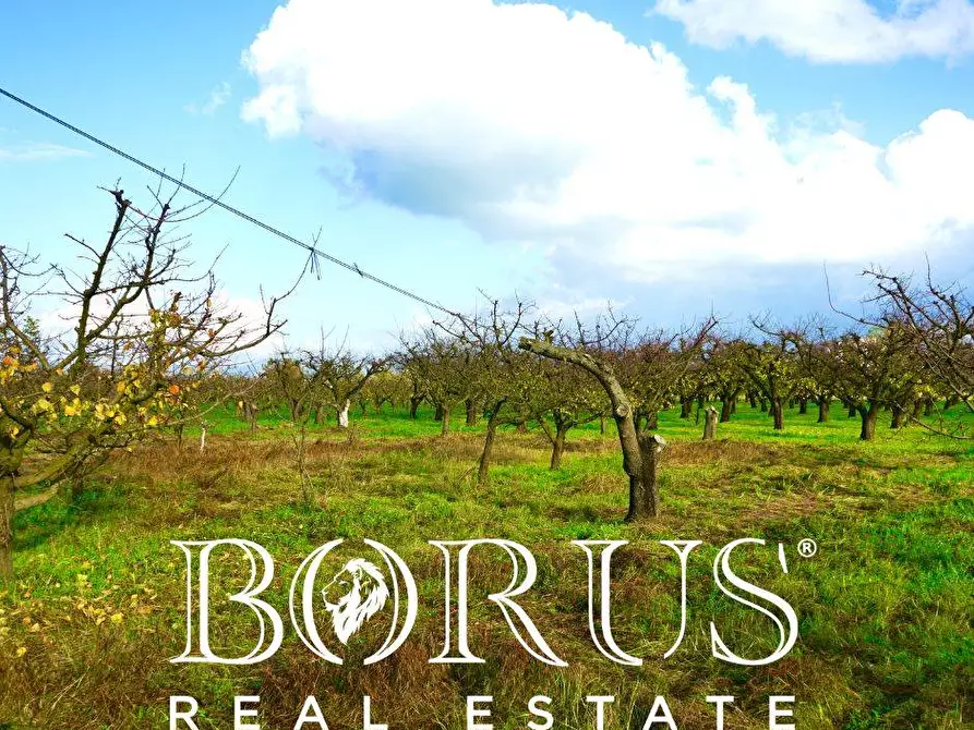 Immagine 23 di Terreno agricolo in vendita  a Teverola