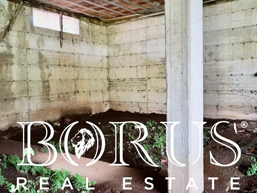 Immagine 11 di Magazzino in vendita  a San Marcellino