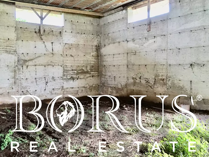 Immagine 15 di Magazzino in vendita  a San Marcellino