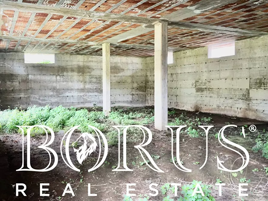 Immagine 18 di Magazzino in vendita  a San Marcellino