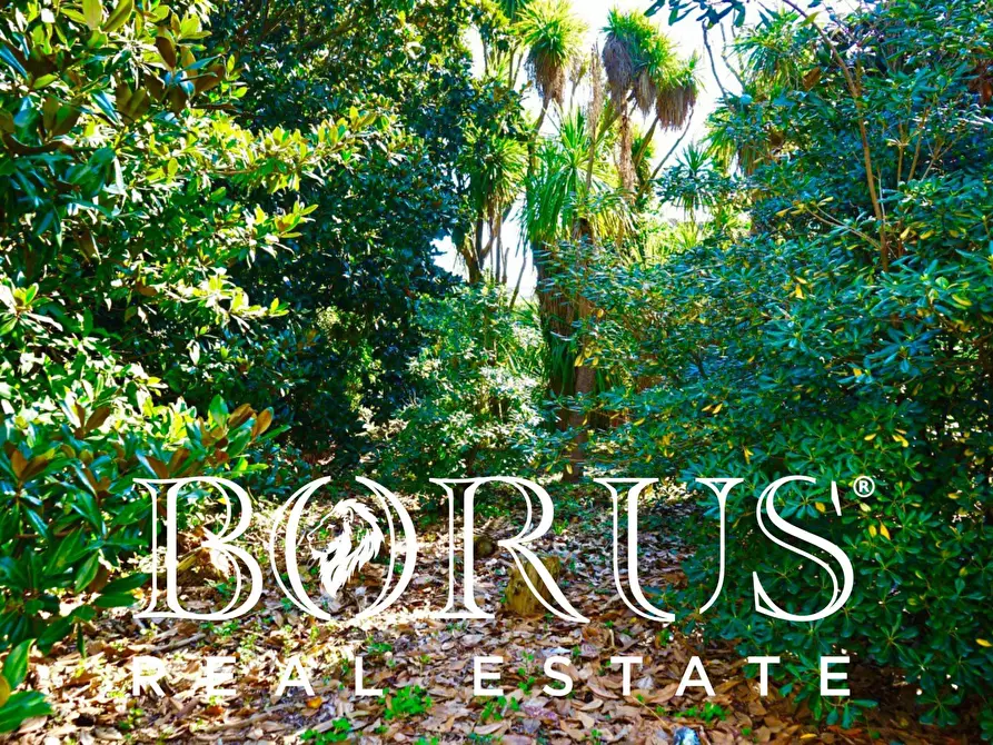 Immagine 8 di Terreno residenziale in vendita  in VIA ALDO MORO a Melito Di Napoli