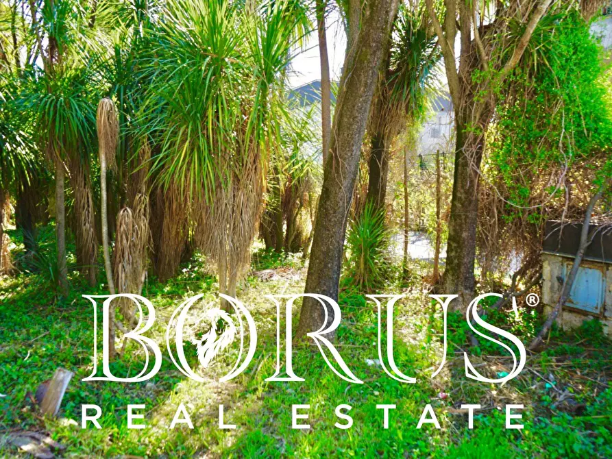 Immagine 12 di Terreno residenziale in vendita  in VIA ALDO MORO a Melito Di Napoli