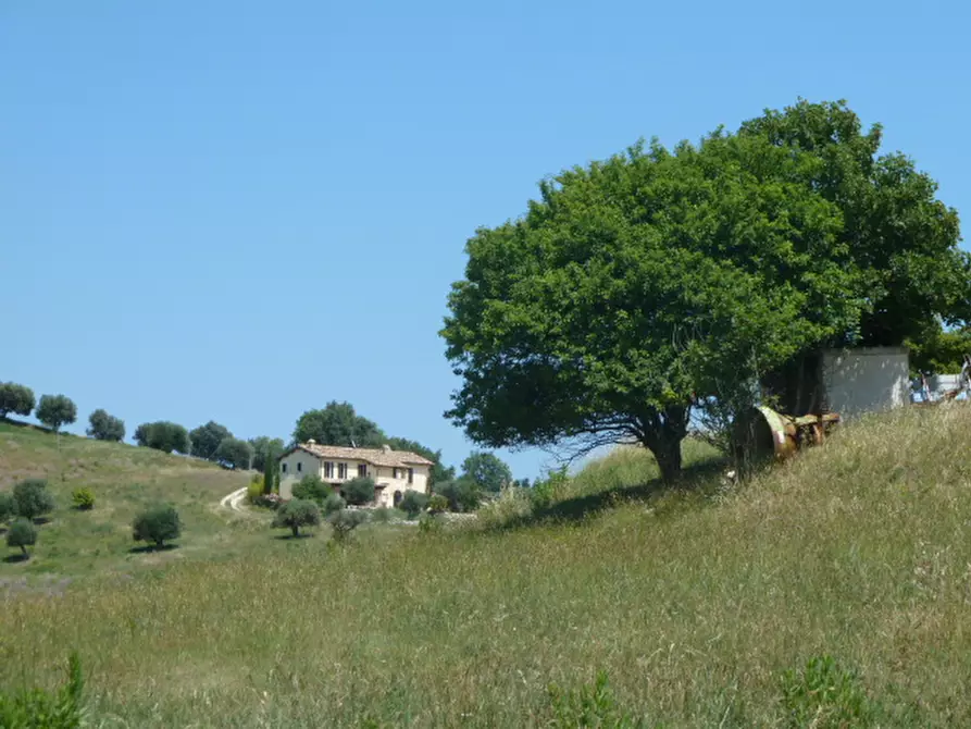 Immagine 4 di Casa indipendente in vendita  a Monteprandone