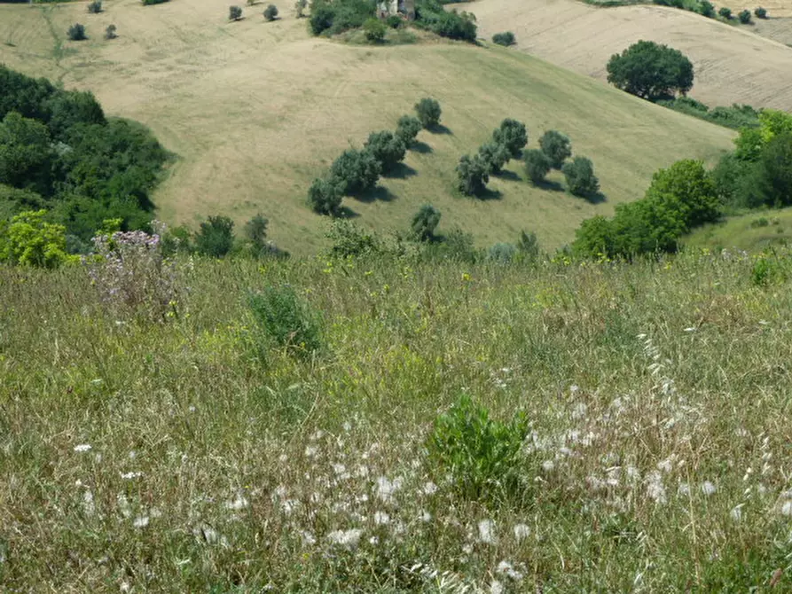 Immagine 5 di Casa indipendente in vendita  a Monteprandone