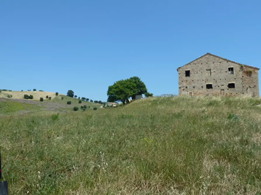 Immagine 7 di Casa indipendente in vendita  a Monteprandone