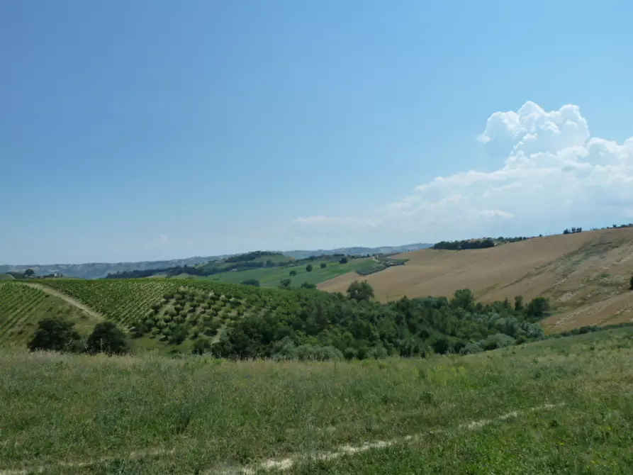 Immagine 9 di Casa indipendente in vendita  a Monteprandone