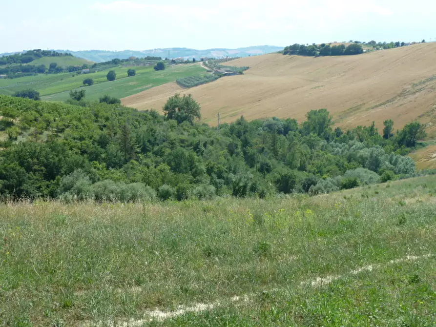 Immagine 10 di Casa indipendente in vendita  a Monteprandone