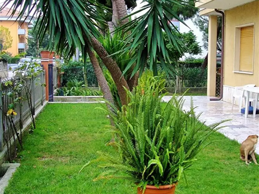 Immagine 24 di Appartamento in vendita  a Martinsicuro