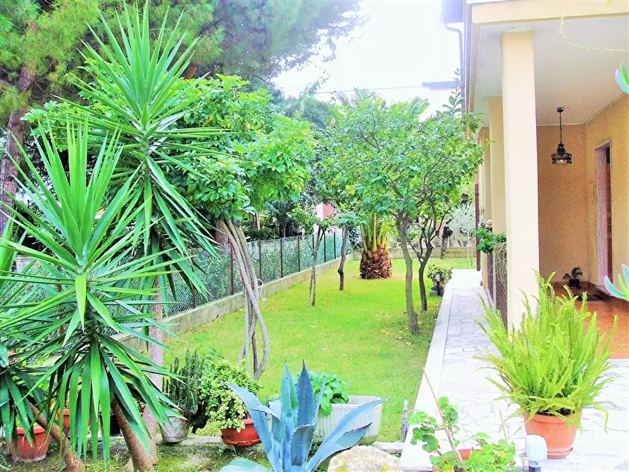 Immagine 25 di Appartamento in vendita  a Martinsicuro