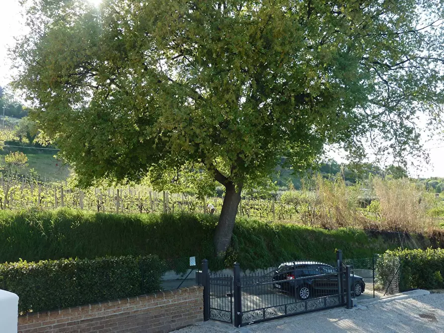 Immagine 28 di Villa in vendita  a Monteprandone