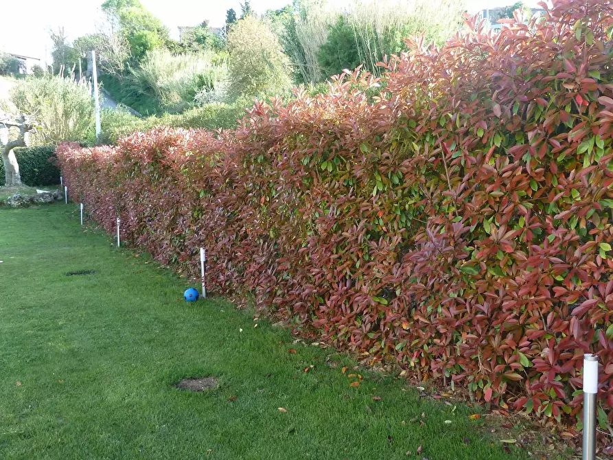 Immagine 29 di Villa in vendita  a Monteprandone