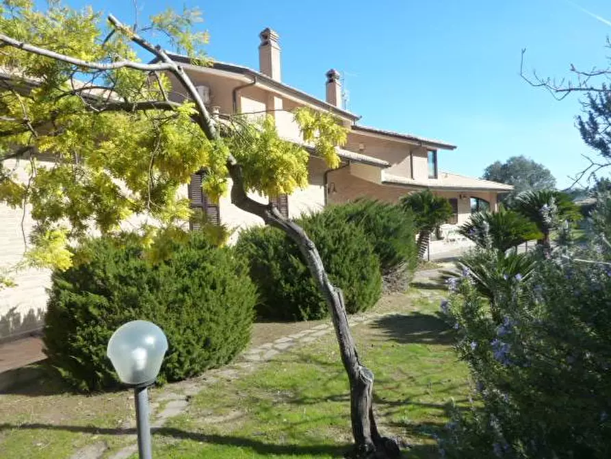 Immagine 7 di Villa in vendita  a Acquaviva Picena