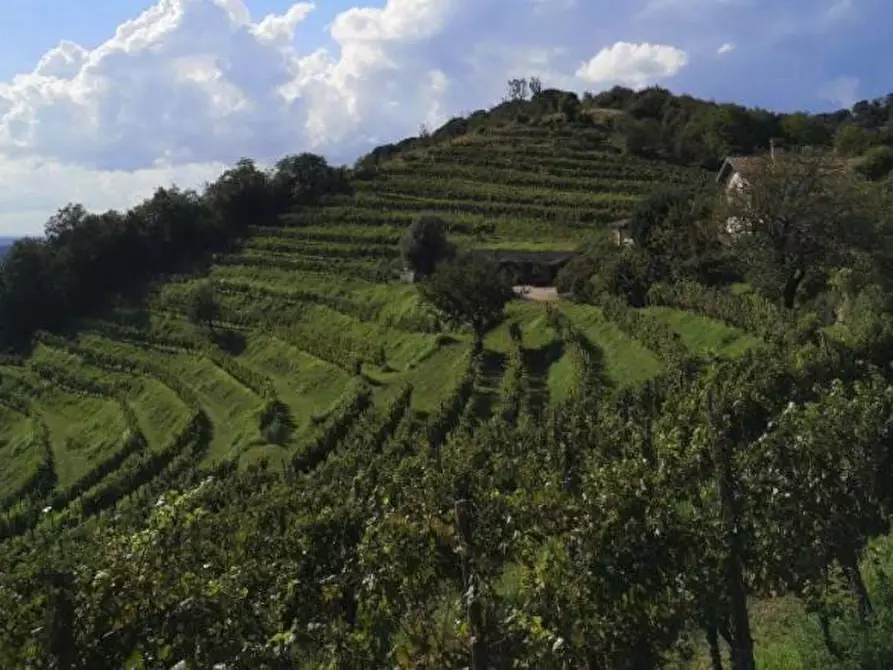 Immagine 21 di Appartamento in vendita  in Via Paolo VI a Cologne