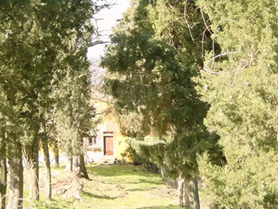 Immagine 5 di Rustico / casale in vendita  in via di Castiglioni a Rufina