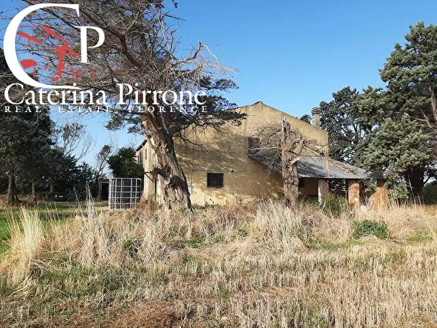 Immagine 7 di Rustico / casale in vendita  in località la Valle a Rosignano Marittimo