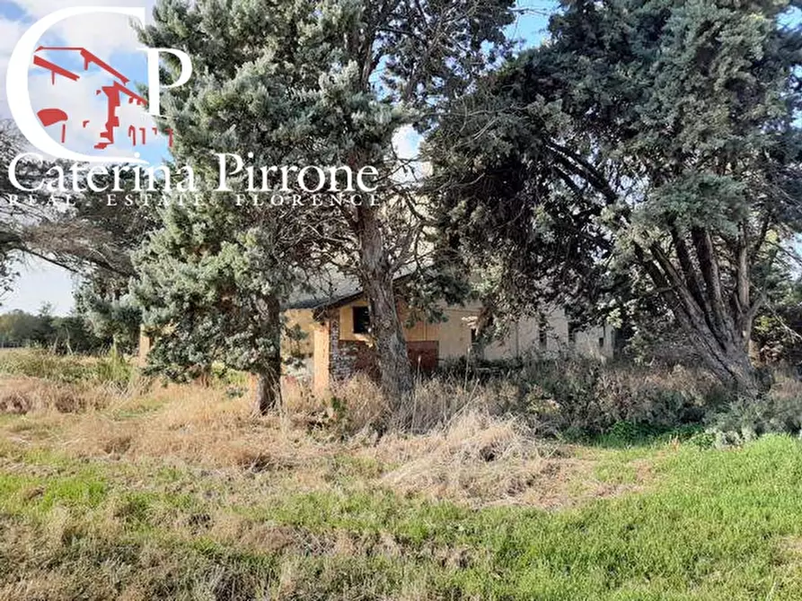 Immagine 9 di Rustico / casale in vendita  in località la Valle a Rosignano Marittimo