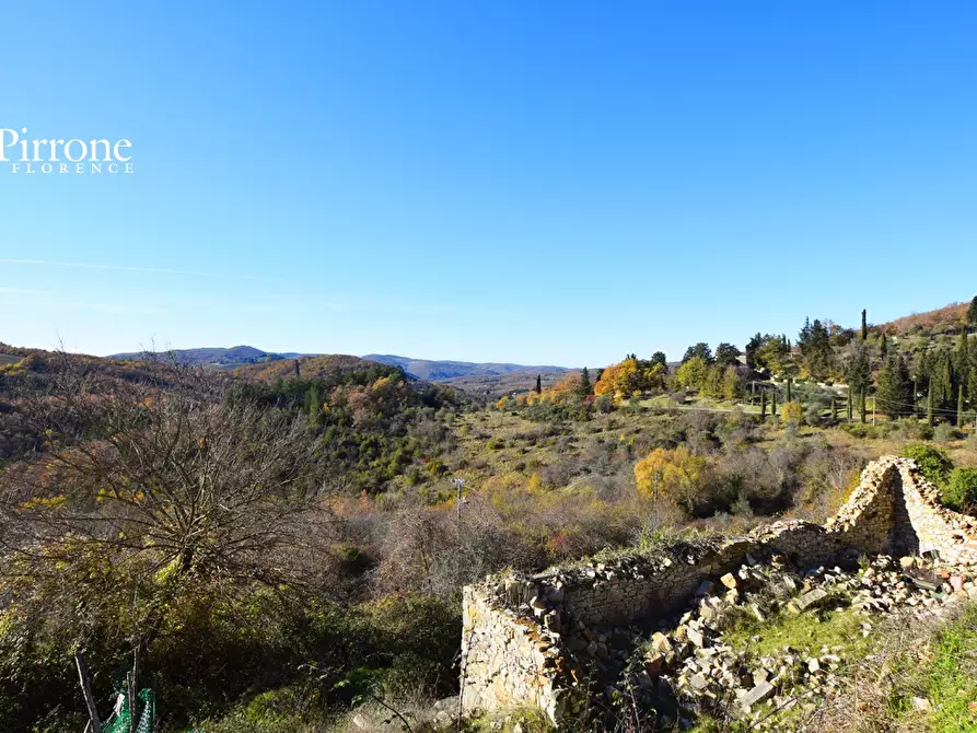 Immagine 12 di Rustico / casale in vendita  a Radda In Chianti