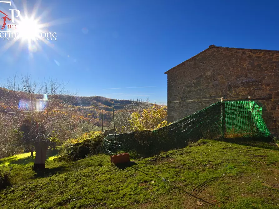 Immagine 18 di Rustico / casale in vendita  a Radda In Chianti