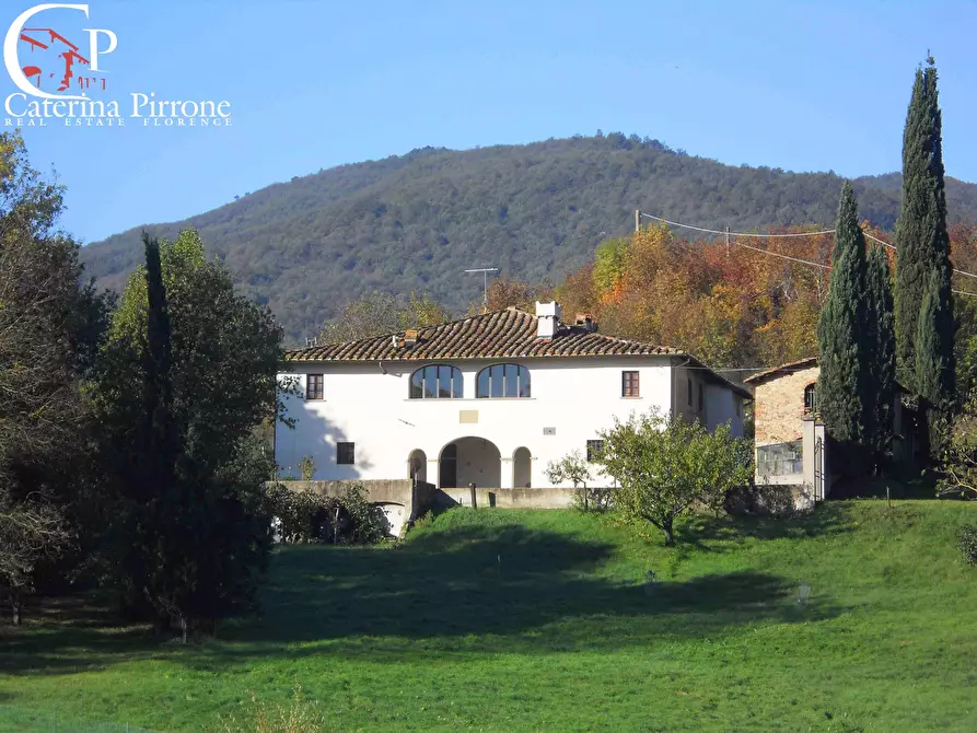 Immagine 1 di Azienda agricola in vendita  in località Le Valli a Figline E Incisa Valdarno