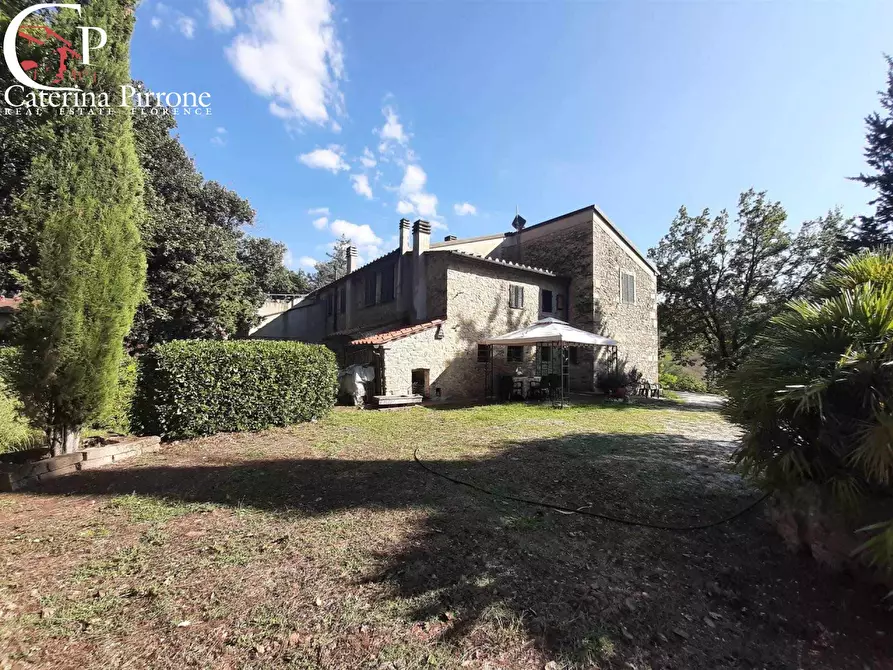 Immagine 8 di Rustico / casale in vendita  in via delle Basse a Montescudaio