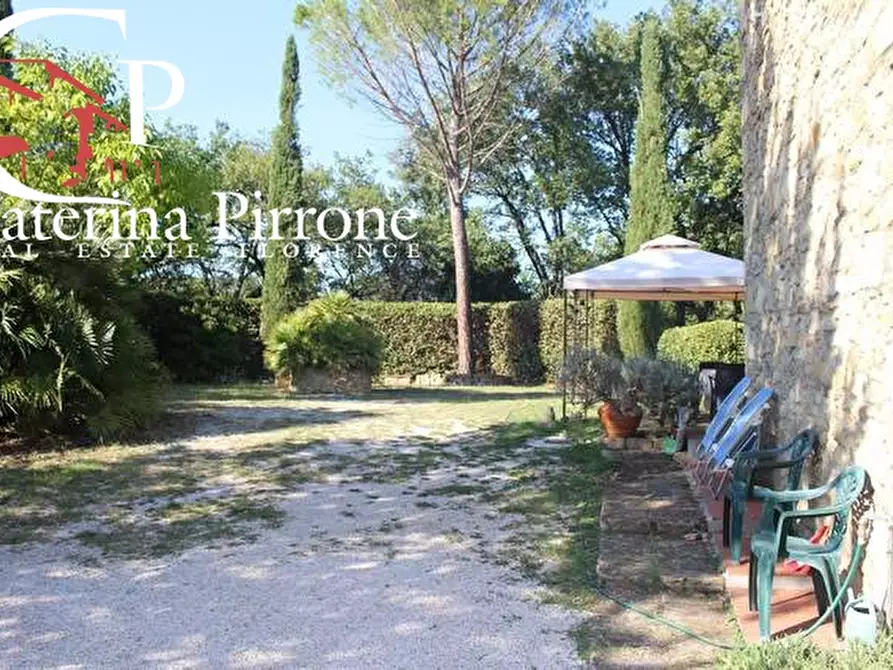 Immagine 13 di Rustico / casale in vendita  in via delle Basse a Montescudaio