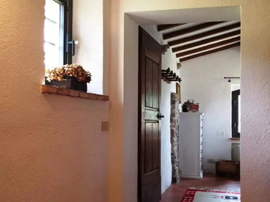 Immagine 15 di Rustico / casale in vendita  in via Ribaldi a Montaione