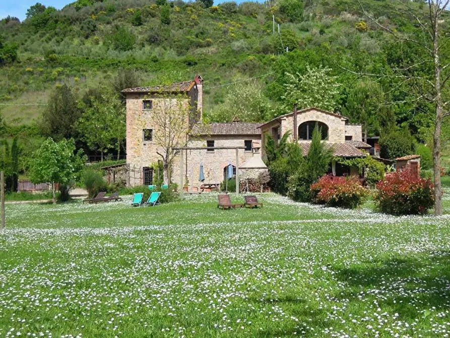 Immagine 1 di Rustico / casale in vendita  in via Ribaldi a Montaione