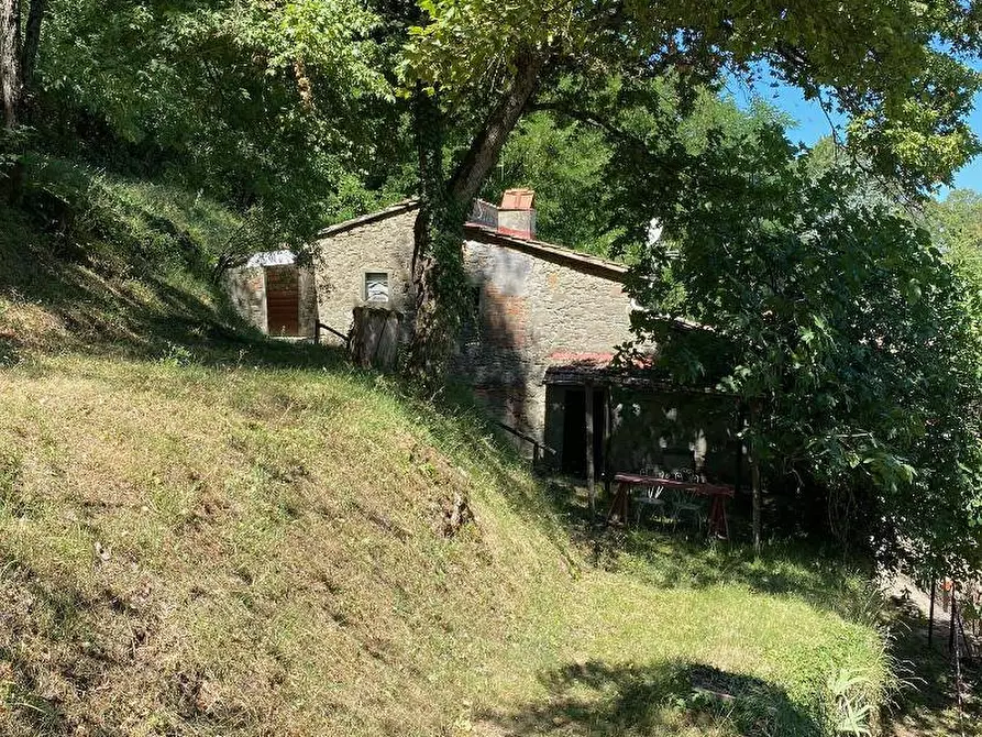 Immagine 13 di Rustico / casale in vendita  in località Gugena a San Godenzo