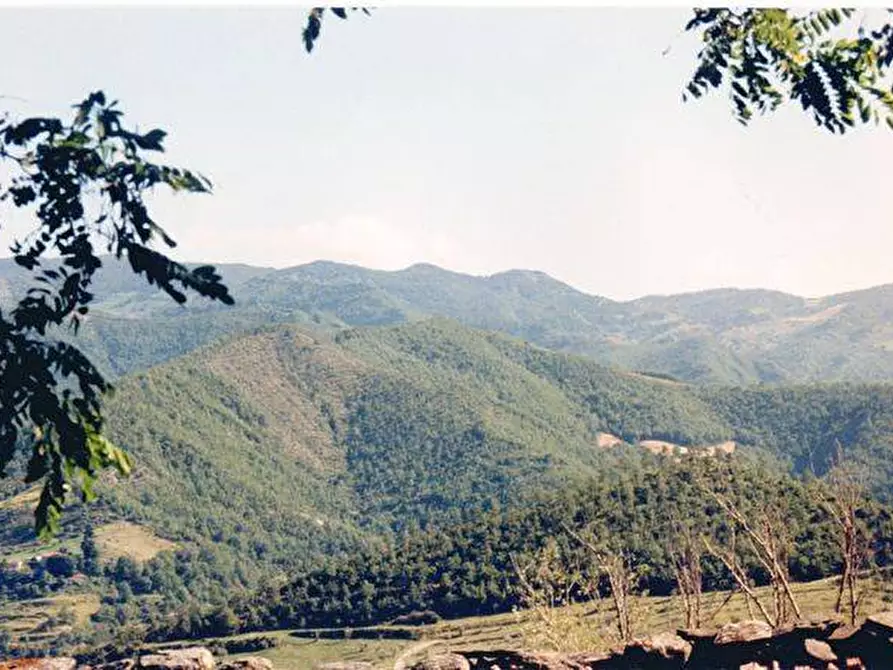 Immagine 22 di Rustico / casale in vendita  in località Gugena a San Godenzo