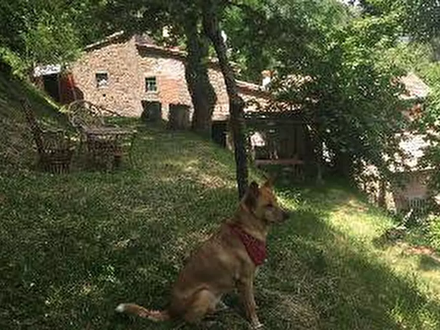 Immagine 10 di Rustico / casale in vendita  in località Gugena a San Godenzo