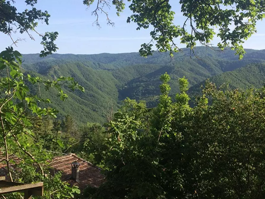 Immagine 23 di Rustico / casale in vendita  in località Gugena a San Godenzo