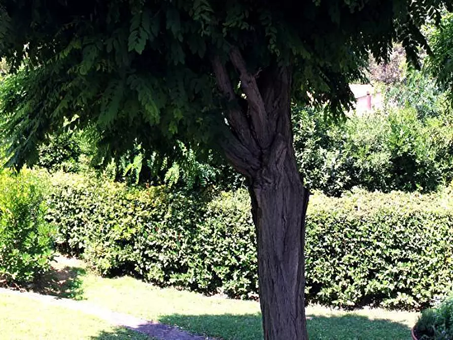 Immagine 8 di Villetta a schiera in vendita  in Via del Poggettone a Castiglione Della Pescaia