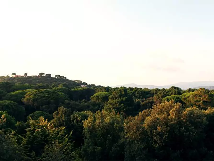 Immagine 9 di Villetta a schiera in vendita  in Via del Poggettone a Castiglione Della Pescaia