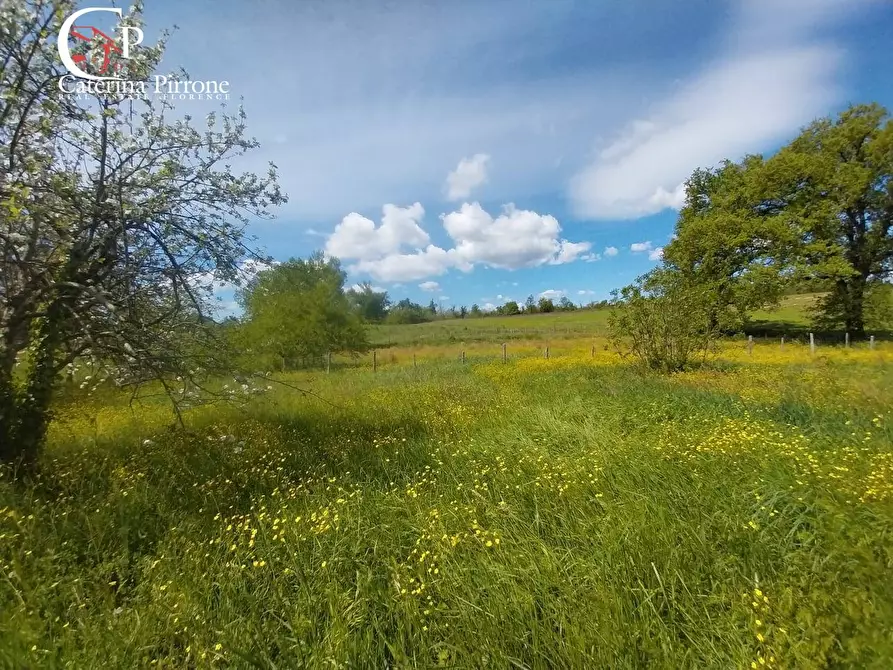 Immagine 6 di Rustico / casale in vendita  in via di San Gavino a Scarperia E San Piero