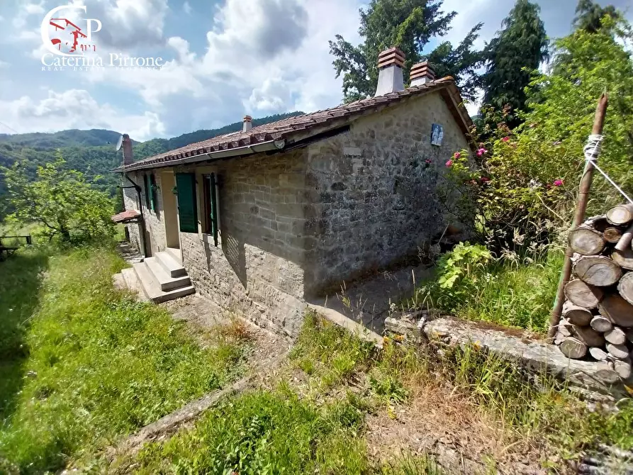 Immagine 1 di Rustico / casale in vendita  in via Castagneto a San Godenzo