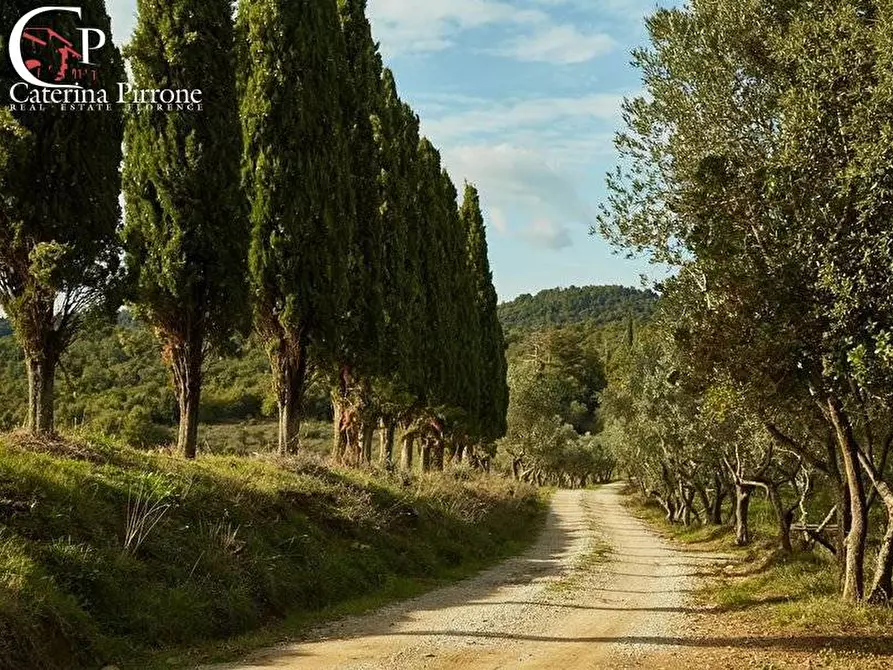 Immagine 14 di Rustico / casale in vendita  in località Somboli a Monte San Savino
