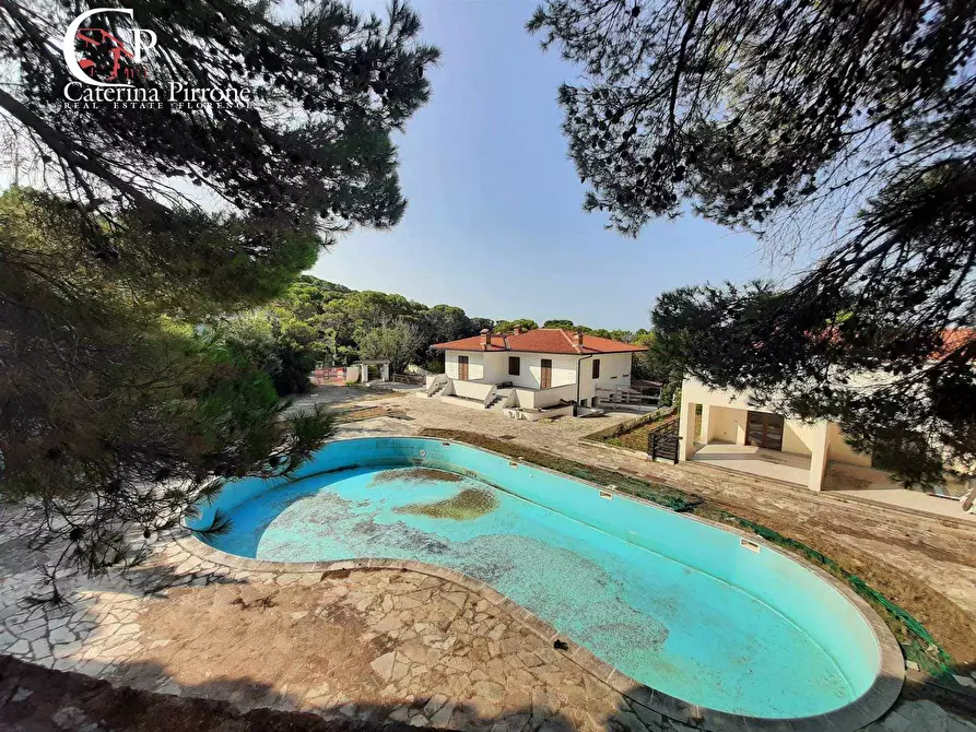 Immagine 17 di Appartamento in vendita  in via delle Rose a Rosignano Marittimo