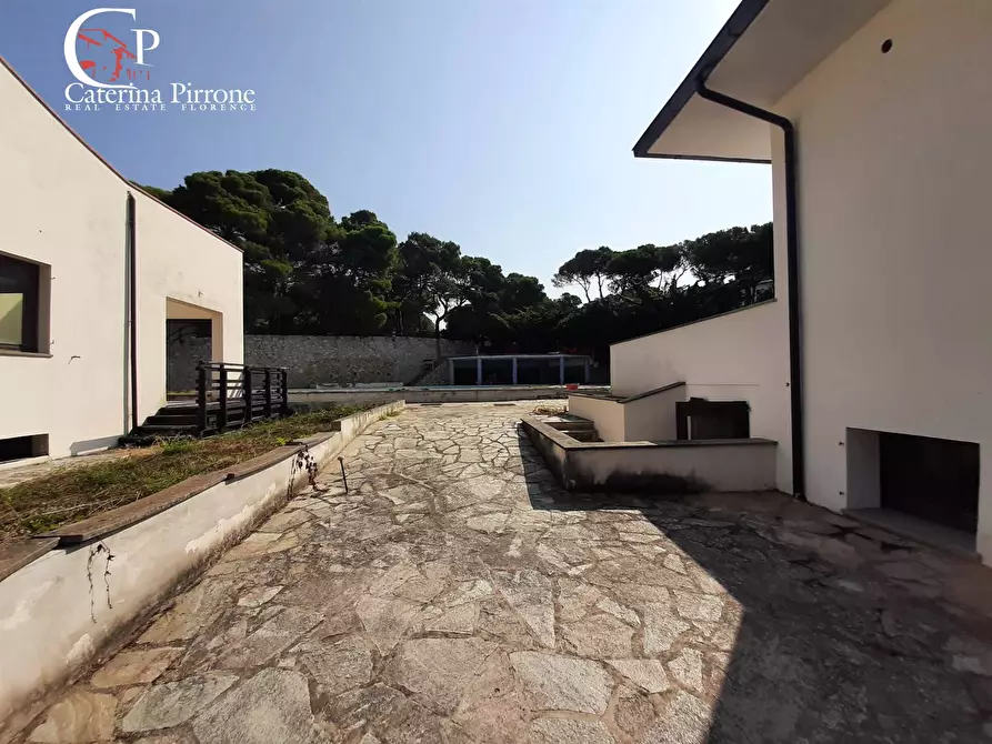 Immagine 3 di Appartamento in vendita  in via delle Rose a Rosignano Marittimo