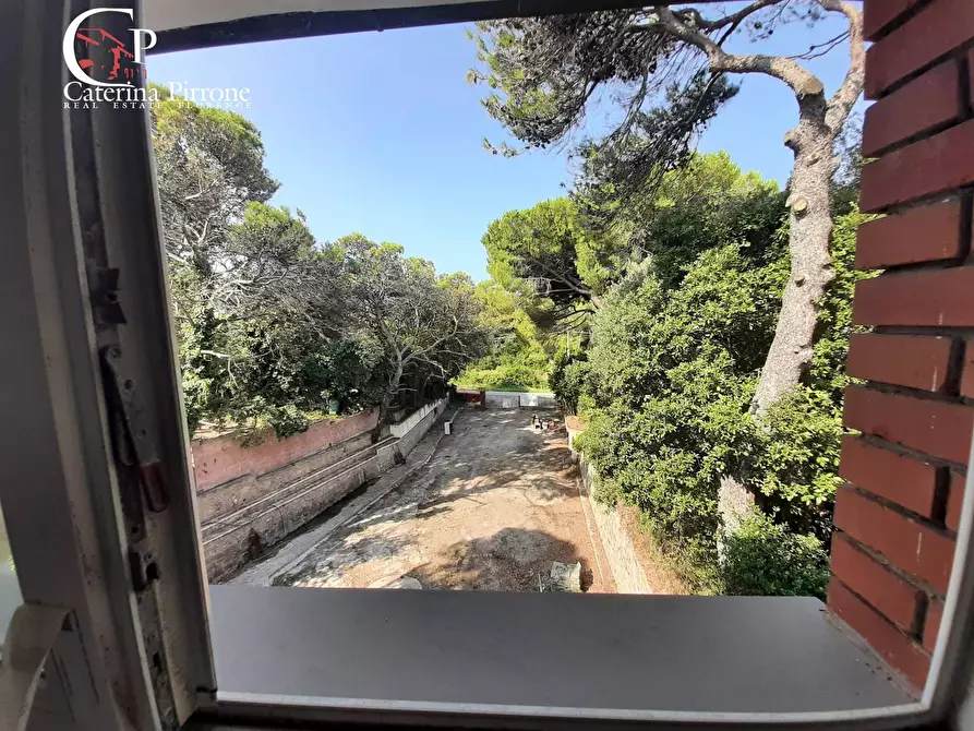 Immagine 6 di Appartamento in vendita  in via delle Rose a Rosignano Marittimo