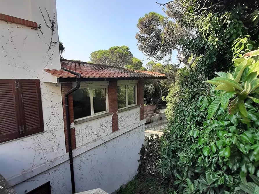 Immagine 13 di Appartamento in vendita  in via delle Rose a Rosignano Marittimo