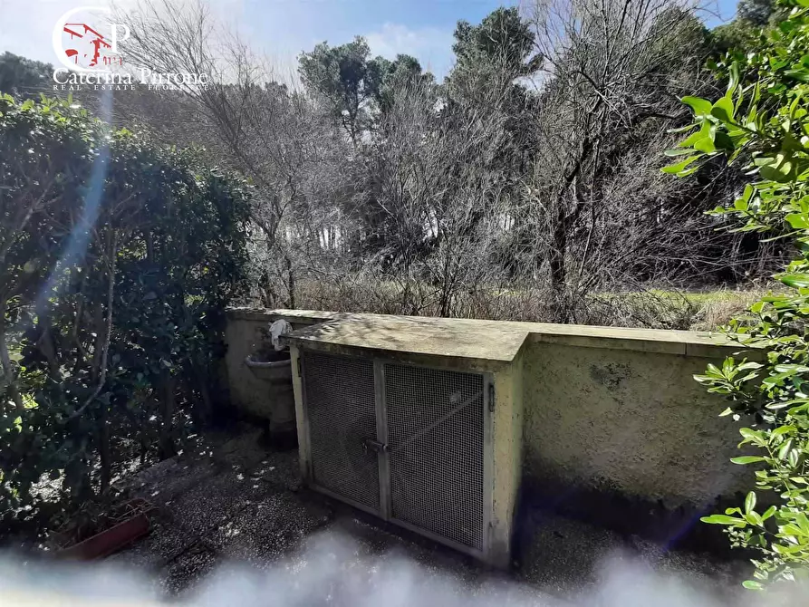 Immagine 8 di Appartamento in vendita  in via Sardegna a Rosignano Marittimo