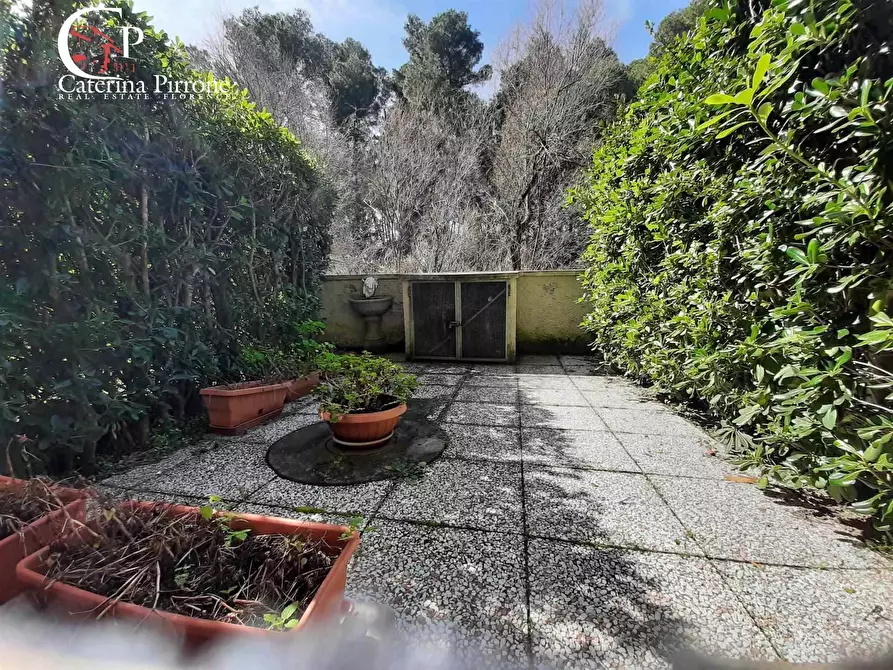 Immagine 7 di Appartamento in vendita  in via Sardegna a Rosignano Marittimo