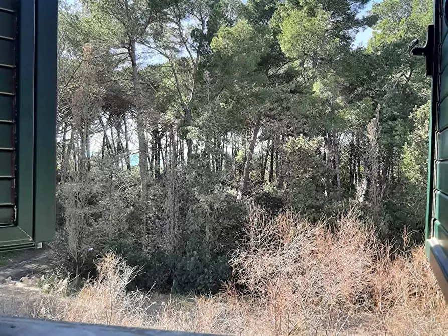 Immagine 23 di Appartamento in vendita  in via Sardegna a Rosignano Marittimo