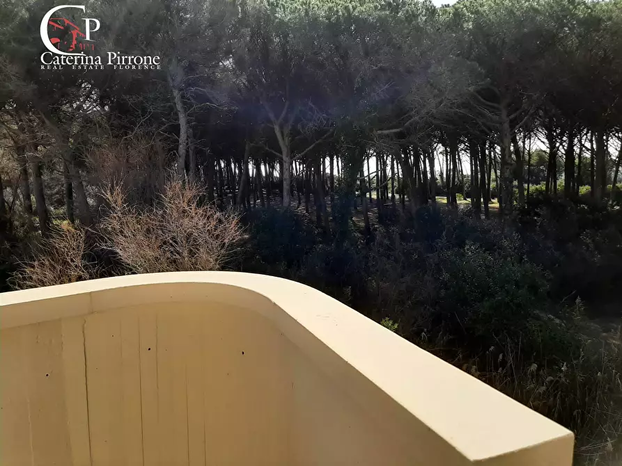 Immagine 28 di Appartamento in vendita  in via Sardegna a Rosignano Marittimo