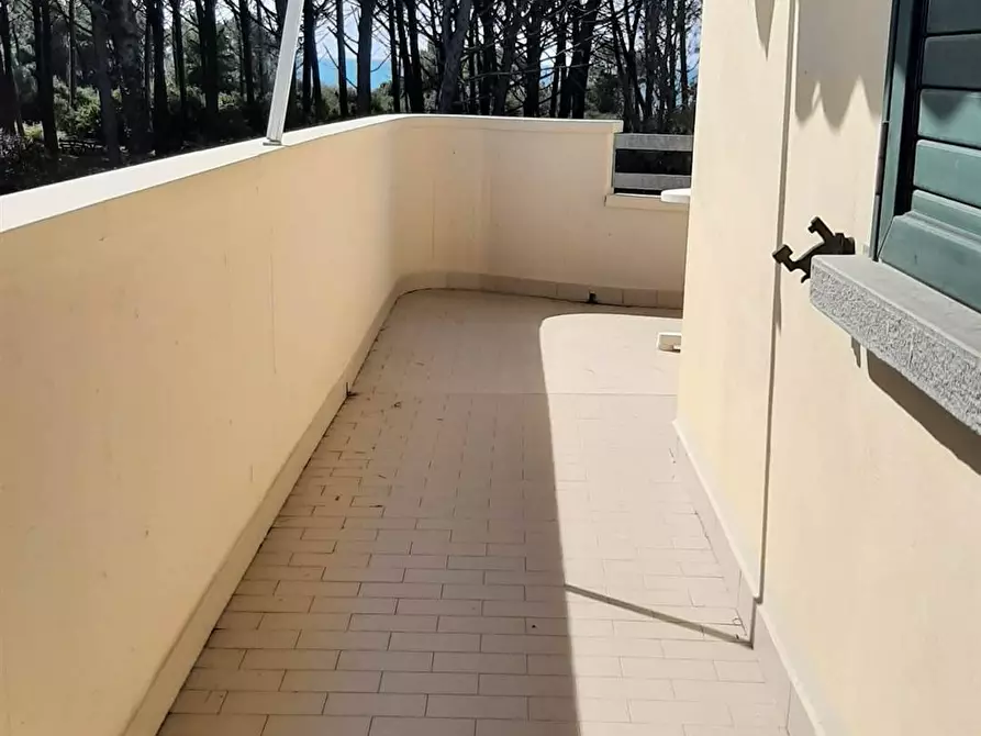 Immagine 30 di Appartamento in vendita  in via Sardegna a Rosignano Marittimo